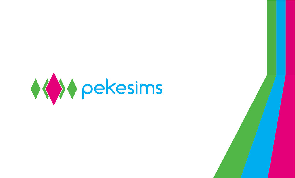 pekesims-new-era